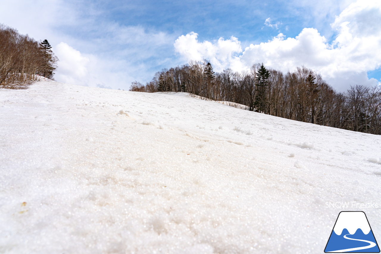 キロロリゾート｜寒波到来で、雪解けはひと休み。滑走距離2,000ｍ級のロングコースを楽しみましょう(^_-)-☆